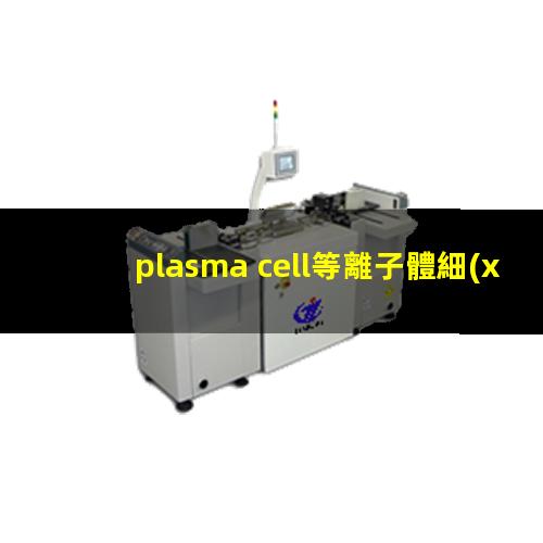 plasma cell等離子體細(xì)胞